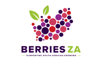 Berries ZA