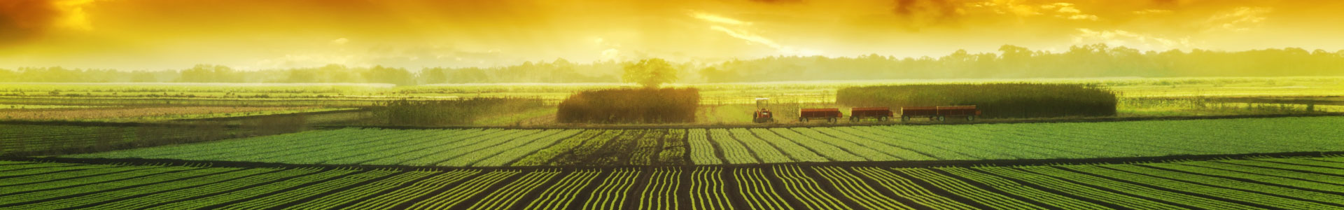 Agbiz Centenary Bursary