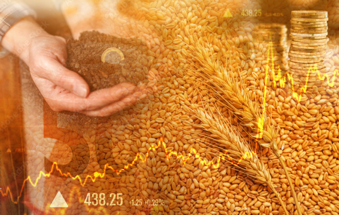 South African wheat farmers have started delivering the new crop