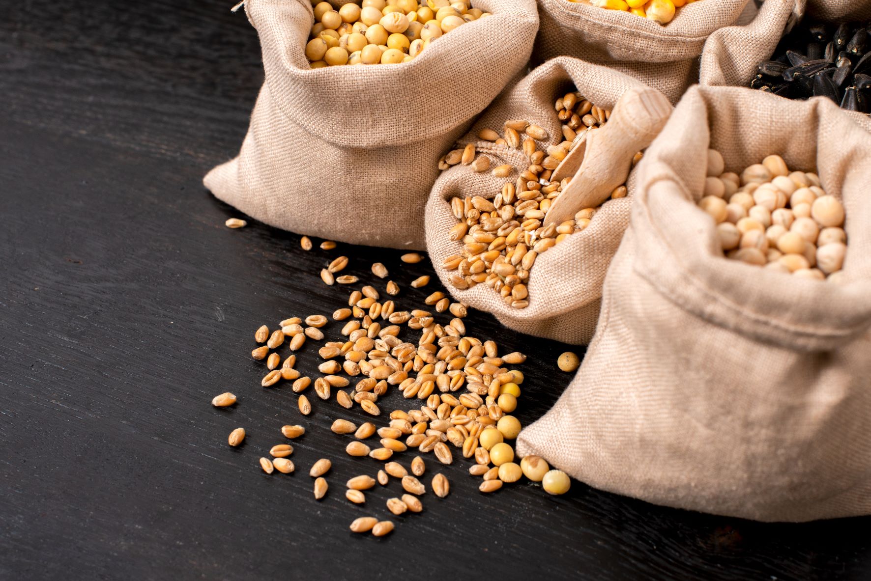 What should we watch in the global grains and oilseeds market?