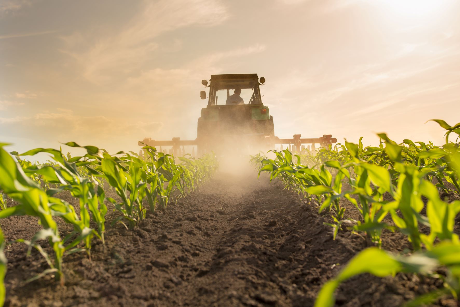 Agricultural finance is key to South Africa's inclusive agricultural growth agenda