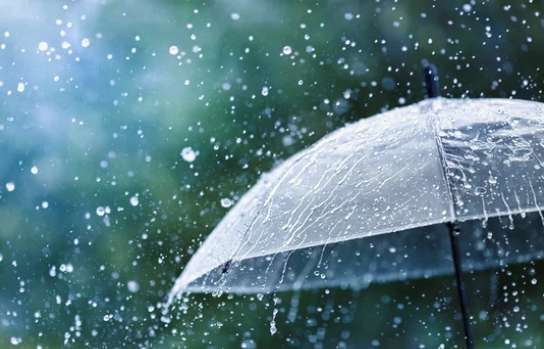 Rain Does More Good than Bad in Agriculture